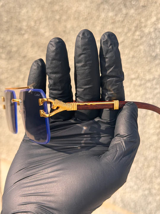Solar Glasses